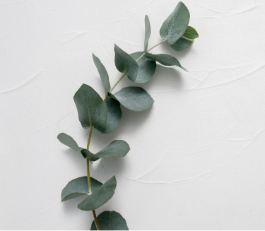 Best Face and body soap in Dubai